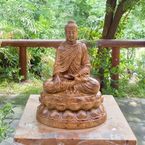 Tượng Phật Thích Ca Mâu Ni Gỗ Tự Nhiên Bách Xanh