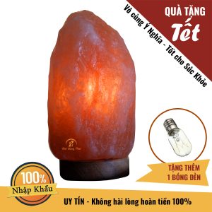 Đèn đá muối TVP - Đèn phong thủy tự nhiên cao cấp 2-5kg