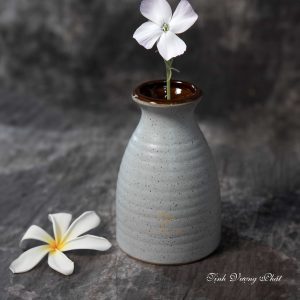 Lọ hoa TVP – VF2 – Gốm Sứ Bát Tràng