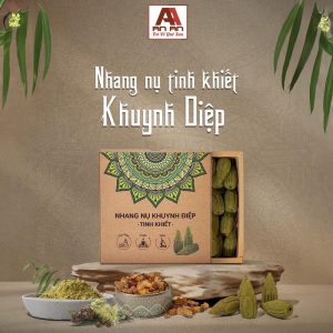 NHANG NỤ TINH KHIẾT KHUYNH DIỆP
